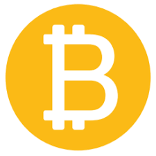 Bitcoin Cryptocurrency Investment