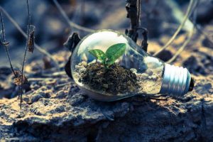 Cut the Cost of Running Your Business By Going Green