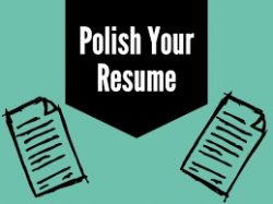 polish resume