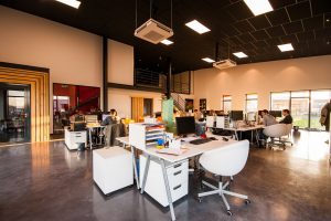 Keeping Your Office Functional Is A Profound Business Investment