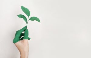 5 Ways To Make Your Business More Sustainable