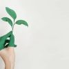 Go Green 8 Ways Your Small Business Can Prioritize Sustainability