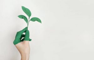 Go Green 8 Ways Your Small Business Can Prioritize Sustainability