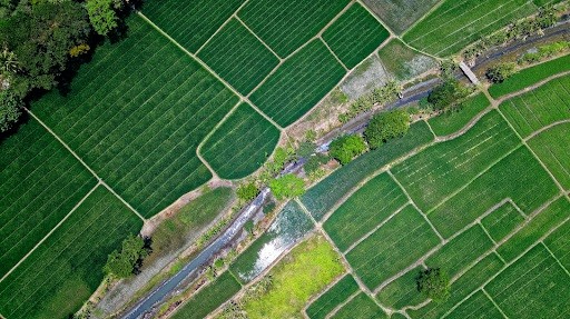 Dont Let Your New Agricultural Business Be A Victim Of Farm Crime